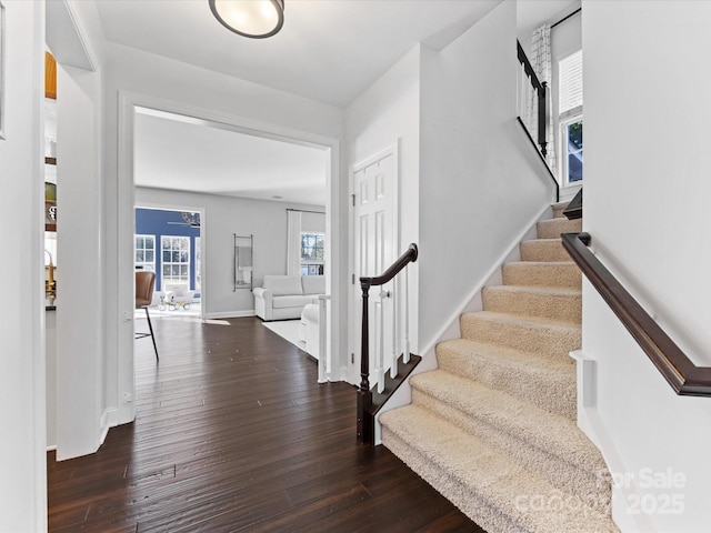 foyer with dark hardwood / wood-style flooring