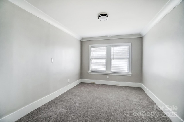 spare room featuring crown molding and carpet