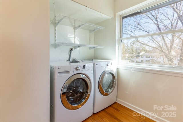 615 Biltmore Ave Unit T7, Asheville, NC 28803 - washroom featuring laundry area, light wood finished floors, and washing machine and clothes dryer