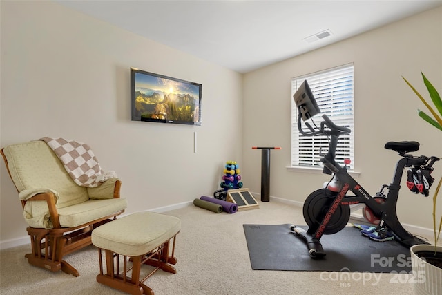 exercise room with carpet