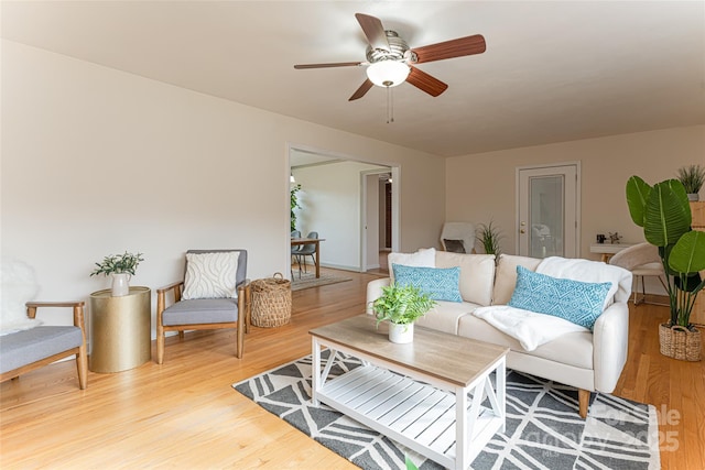 living room featuring ceiling fan and light wood-type flooring