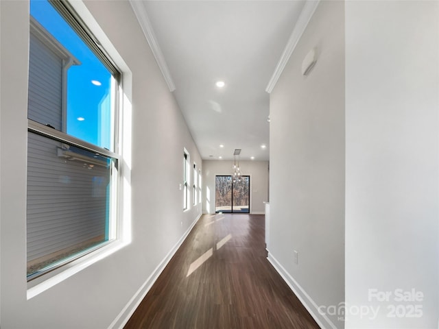 corridor with ornamental molding, a chandelier, and dark hardwood / wood-style flooring