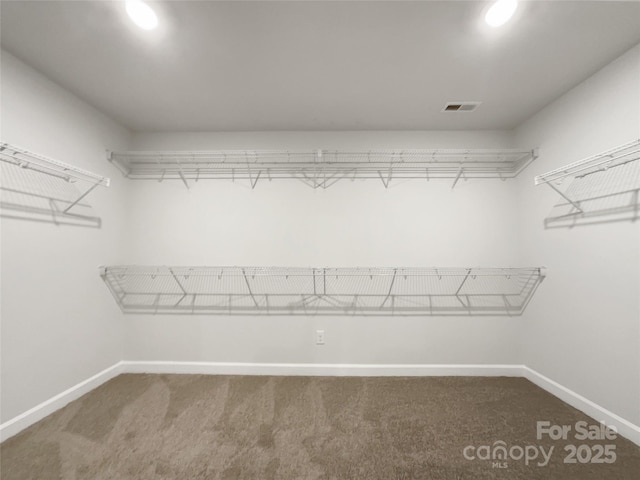 spacious closet with carpet floors