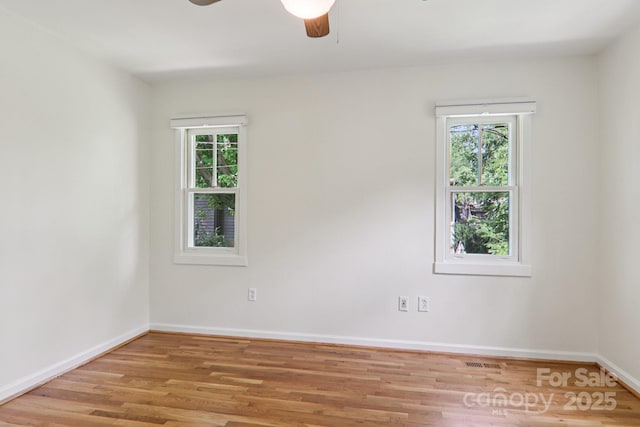 39 Short St, Asheville, NC 28801 - photo 23