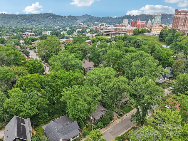 39 Short St, Asheville, NC 28801 - photo 41