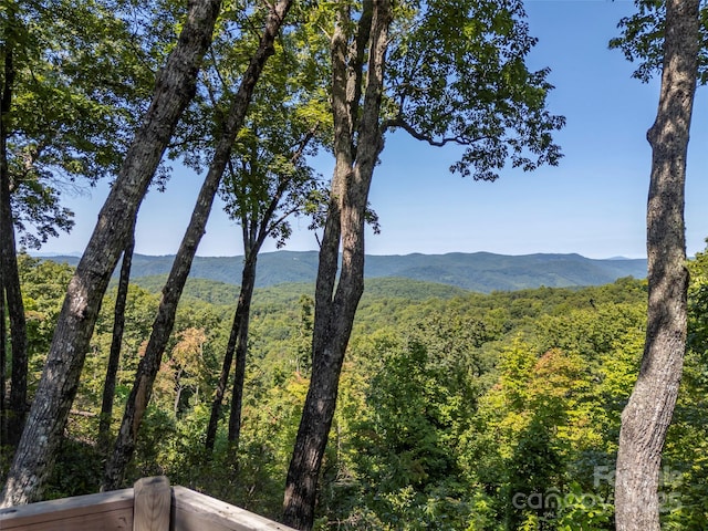 property view of mountains