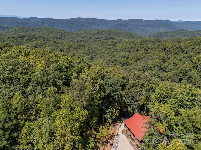 1549 Rixhaven Dr, Saluda, NC 28773 - photo 46