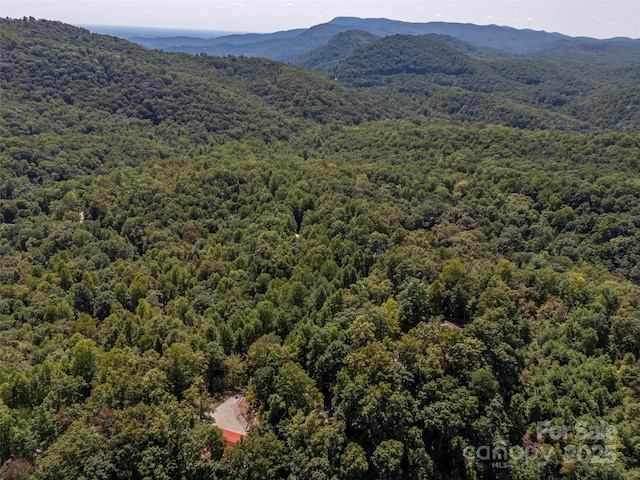 view of mountain feature