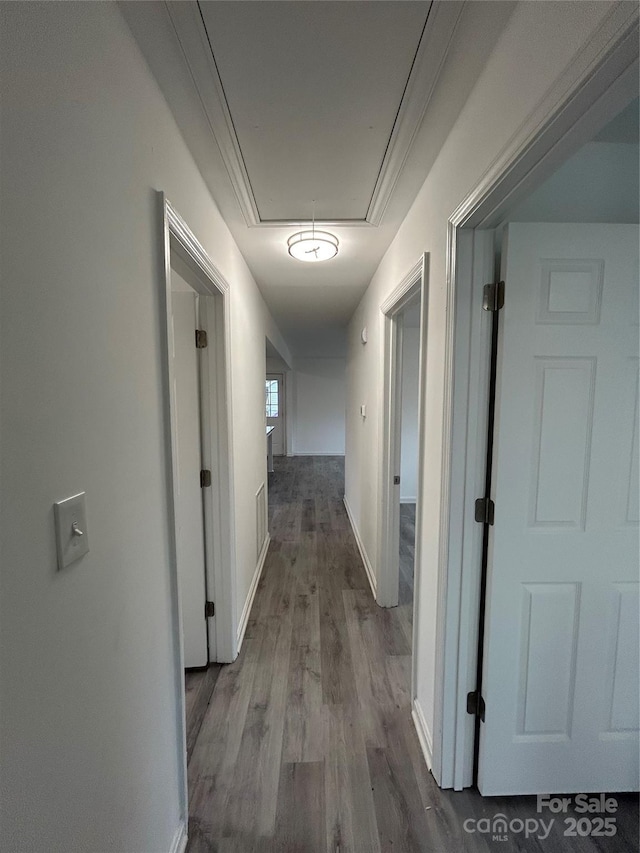 hallway featuring crown molding and wood-type flooring