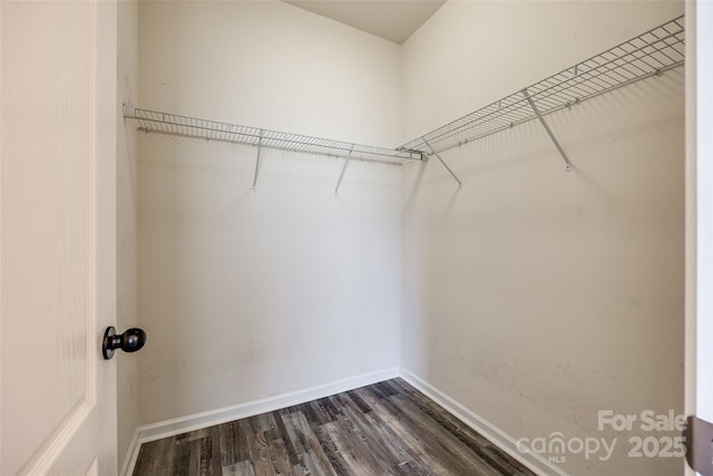 walk in closet featuring dark wood-type flooring