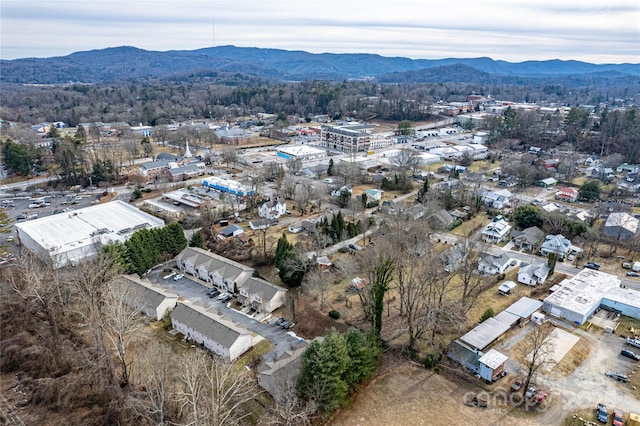 aerial view with a mountain view