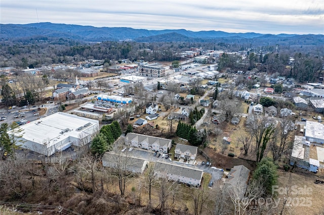 birds eye view of property featuring a mountain view