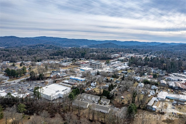 birds eye view of property featuring a mountain view