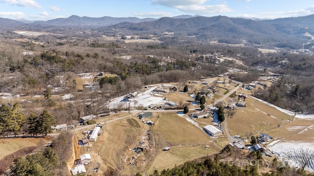 birds eye view of property featuring a mountain view