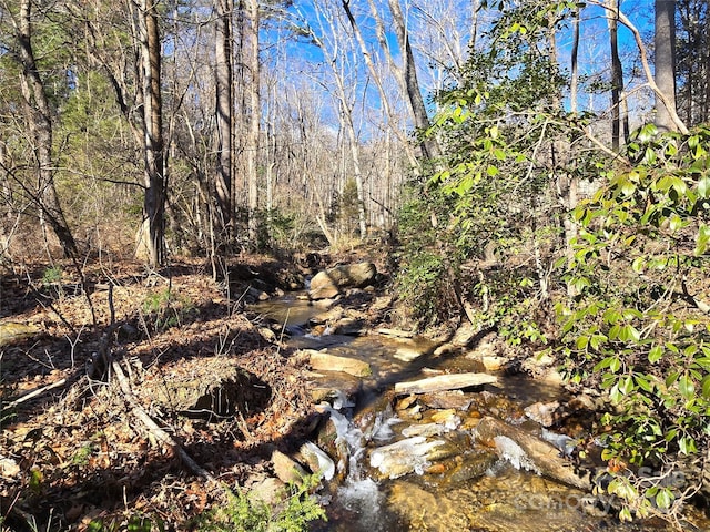 LOT60 Chinquapin Rd, Lake Lure NC, 28746 land for sale