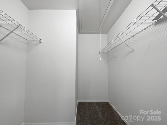 spacious closet featuring dark carpet