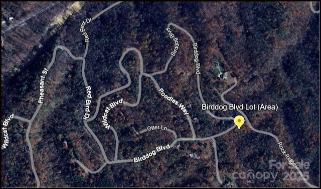 000 Birddog Blvd Unit 328, Lake Lure, NC 28746 - photo 9