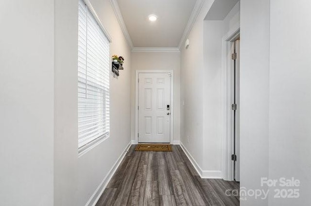 hallway with crown molding and dark hardwood / wood-style flooring