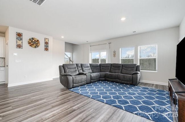 living room featuring wood-type flooring