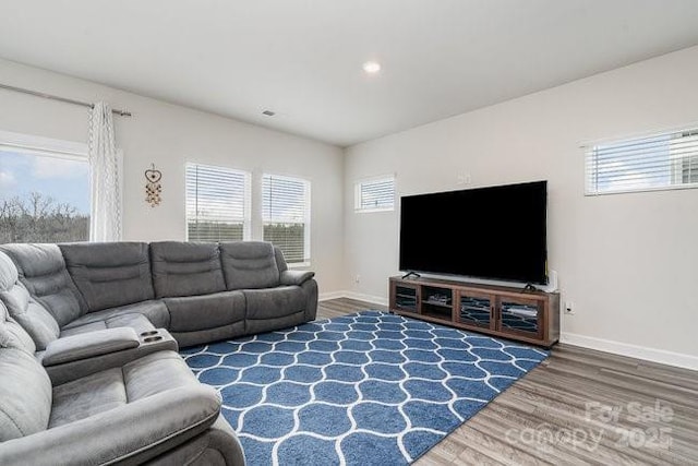 living room featuring dark wood-type flooring