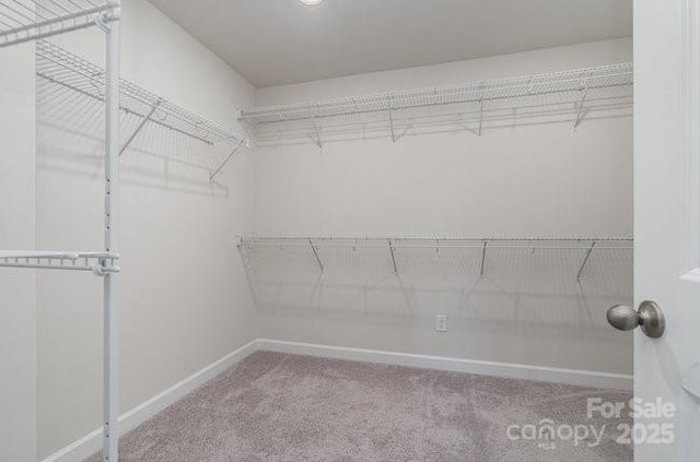 walk in closet featuring light carpet