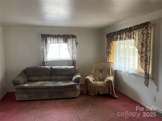 living area with carpet flooring