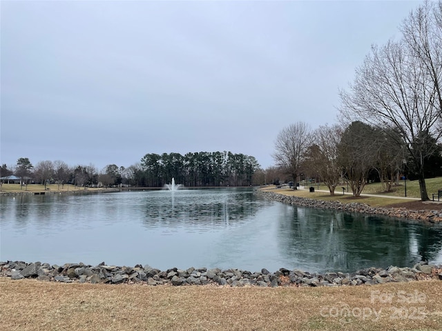 view of water feature