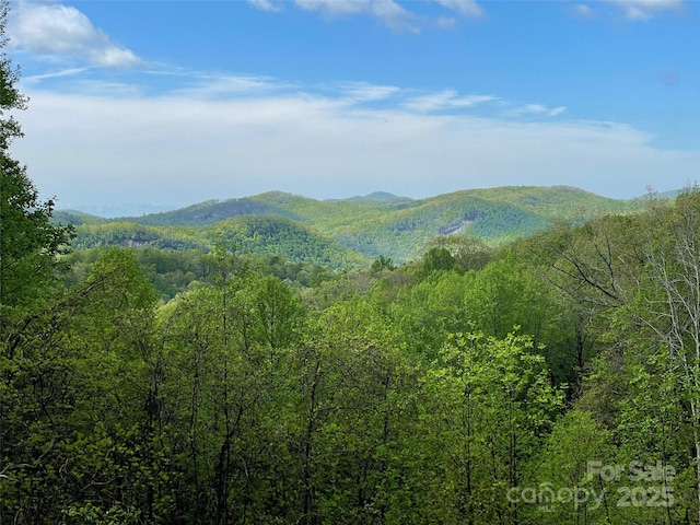 OFF Pine Mountain Dr, Brevard NC, 28712 land for sale