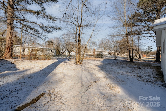 view of yard covered in snow