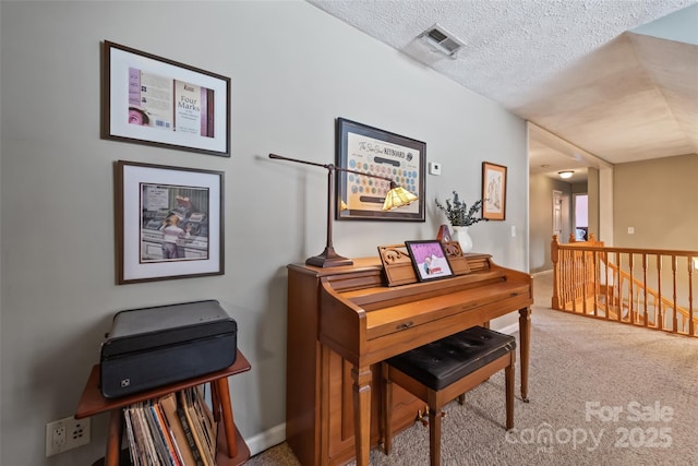 miscellaneous room with a textured ceiling and carpet flooring