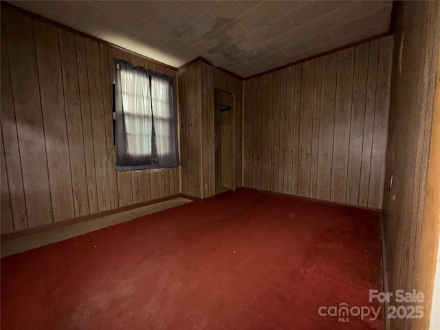 spare room with wooden walls and carpet