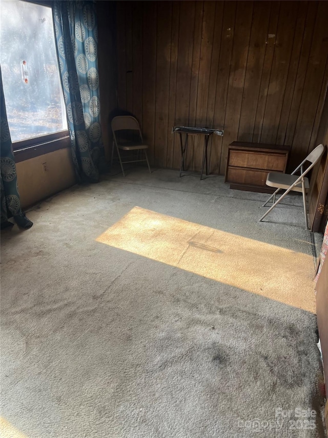 unfurnished room featuring carpet and wood walls