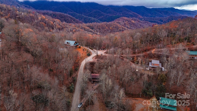 bird's eye view with a mountain view