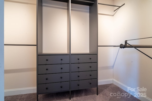 spacious closet with carpet flooring