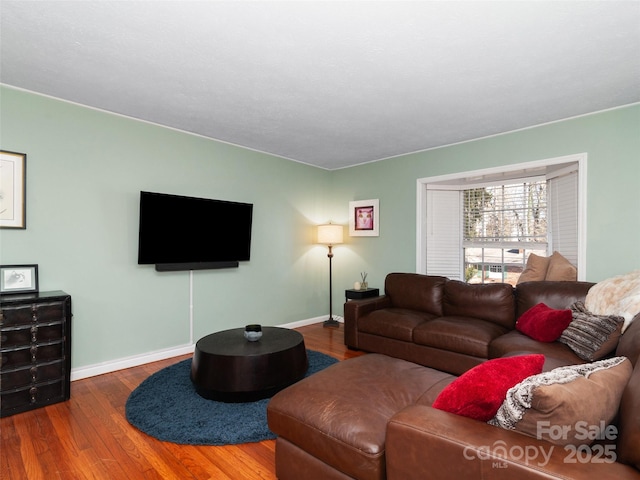 living room featuring wood-type flooring