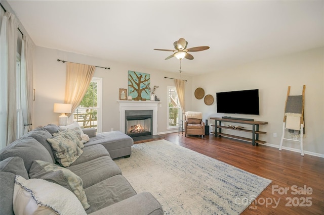 living area featuring ceiling fan, plenty of natural light, a lit fireplace, and wood finished floors