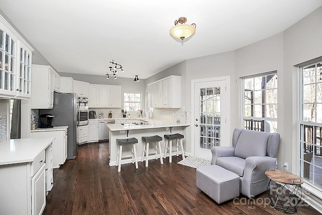 kitchen with white cabinetry, plenty of natural light, stainless steel appliances, tasteful backsplash, and kitchen peninsula