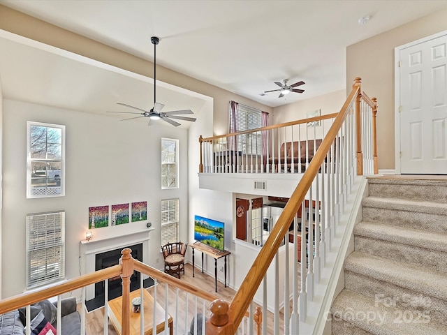 staircase featuring wood-type flooring and ceiling fan