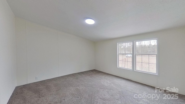 spare room featuring carpet flooring and a textured ceiling