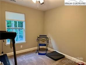 exercise area featuring ceiling fan