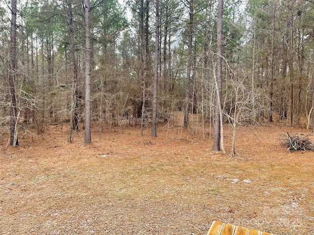 1194 Great Falls Highway, Chester, SC 29706 - photo 5