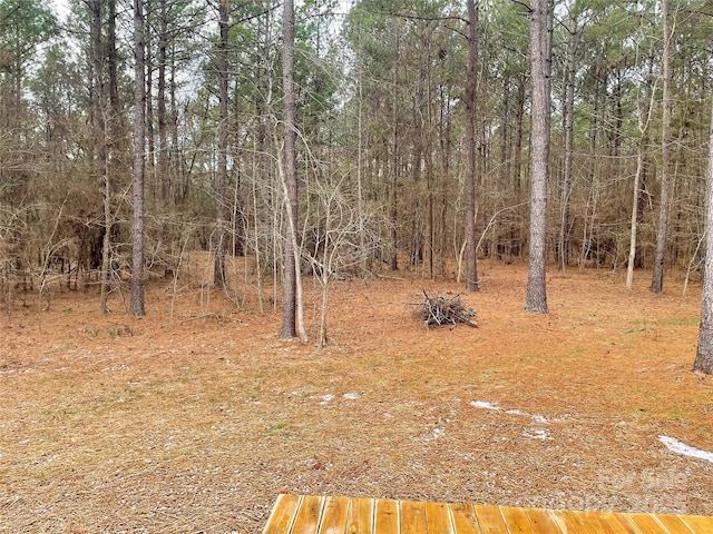 1194 Great Falls Highway, Chester, SC 29706 - photo 6