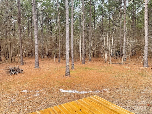 1194 Great Falls Highway, Chester, SC 29706 - photo 7