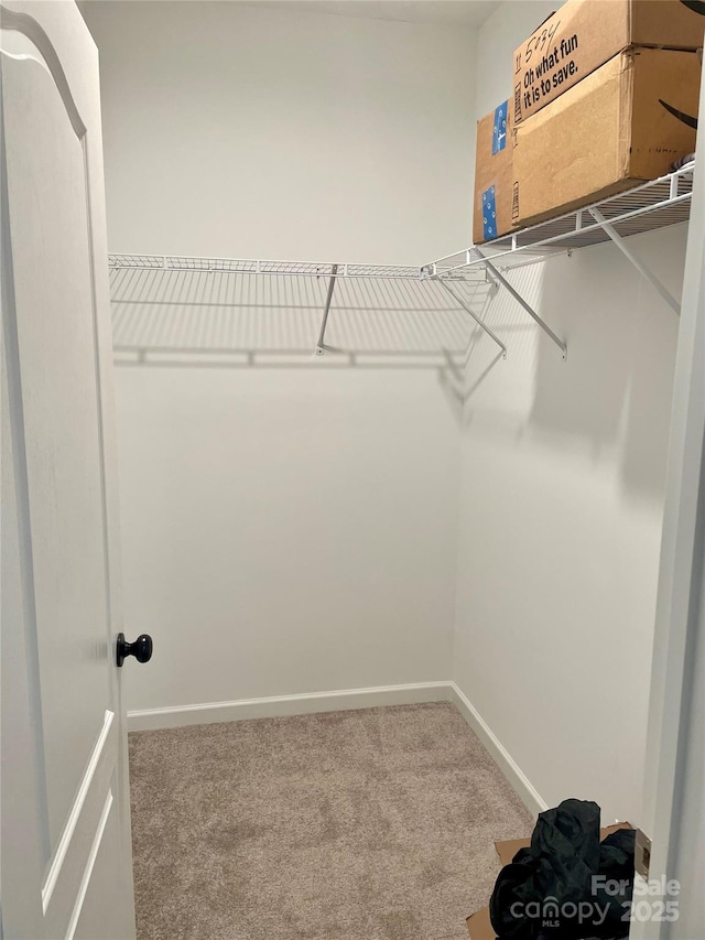 spacious closet with carpet floors