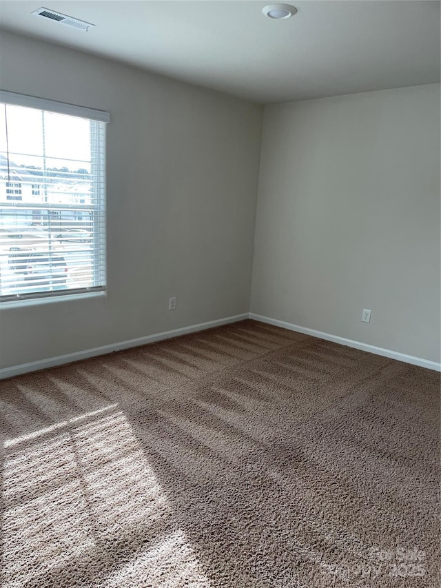 empty room featuring carpet