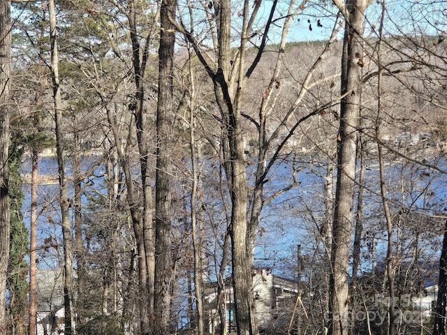 Listing photo 2 for 0 Pine Ridge Rd Unit 934, Badin Lake NC 28127