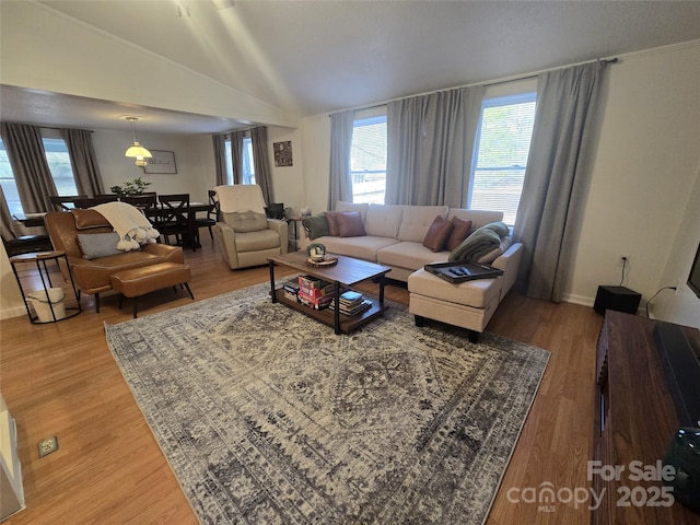 living room with vaulted ceiling and wood-type flooring