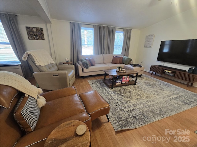 living room with hardwood / wood-style floors