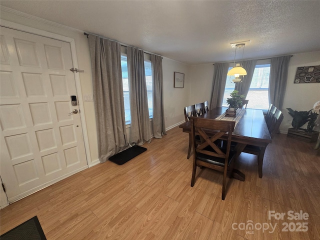 dining room with light hardwood / wood-style flooring and a textured ceiling