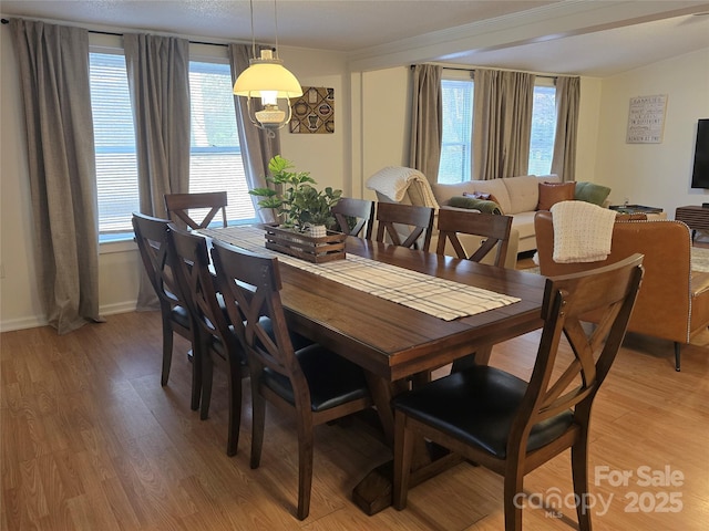 dining room with light hardwood / wood-style flooring and a wealth of natural light